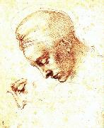 Michelangelo Buonarroti Study of a Head oil painting artist